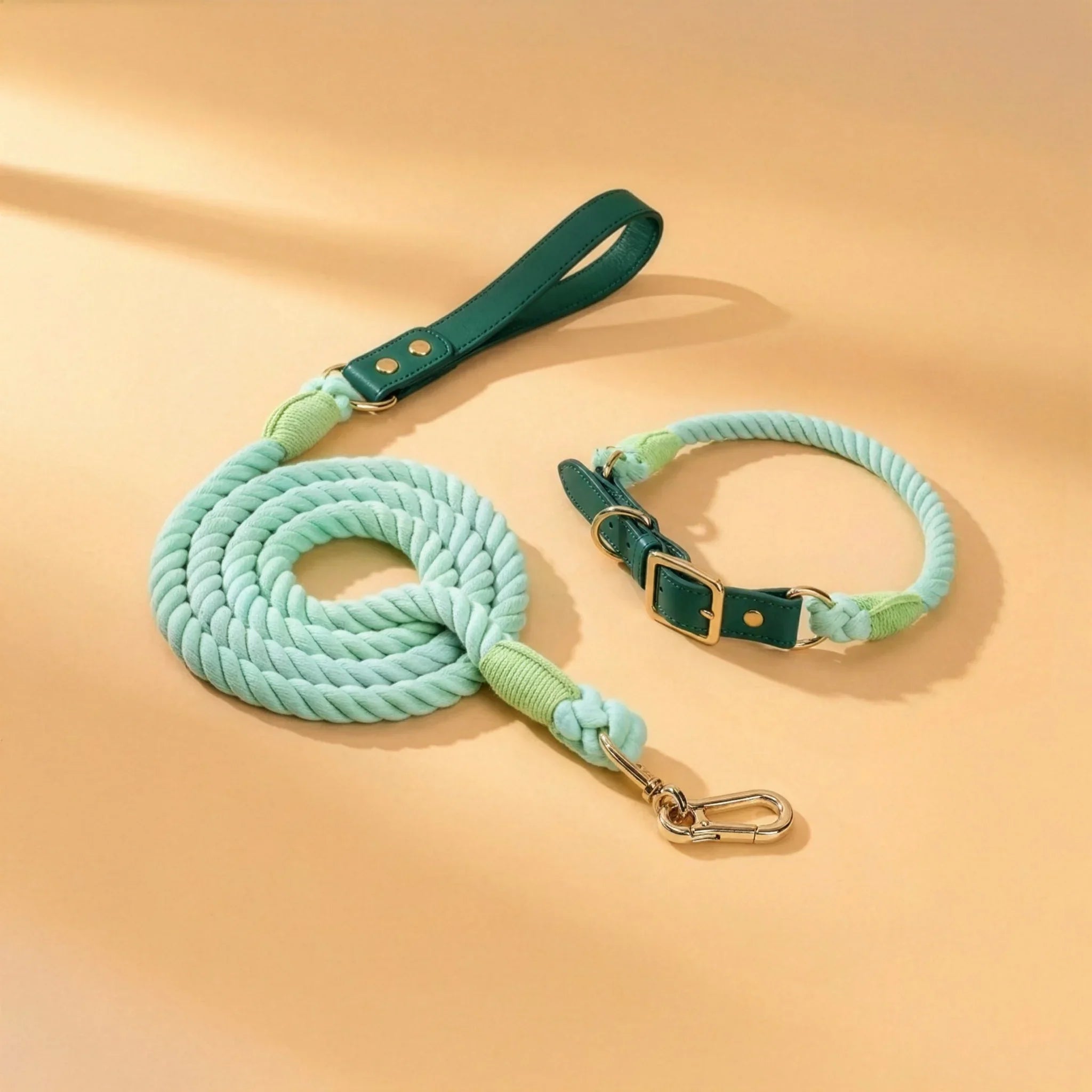 Kit Lux Trevo – Coleira + Guia (com TAG Grátis)