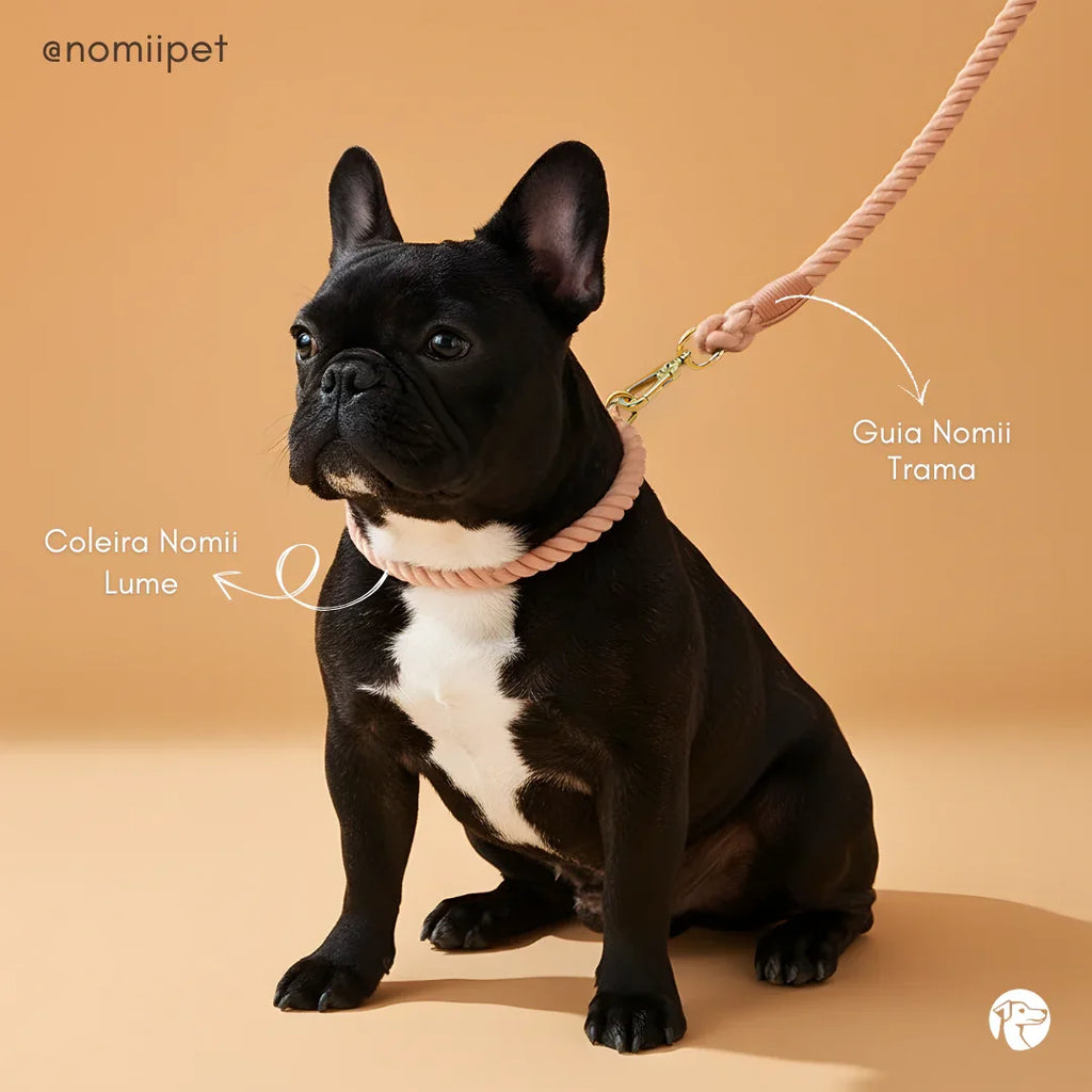 Coleira Lume Creme – 100% Algodão (com TAG Grátis)