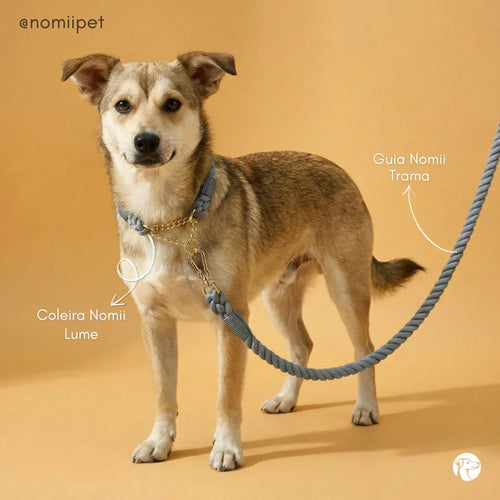 Coleira Lume Prata – 100% Algodão (com TAG Grátis)