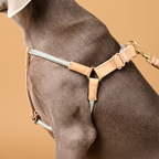 Peitoral Nomii Cordier em Y | (com Pingente Grátis)