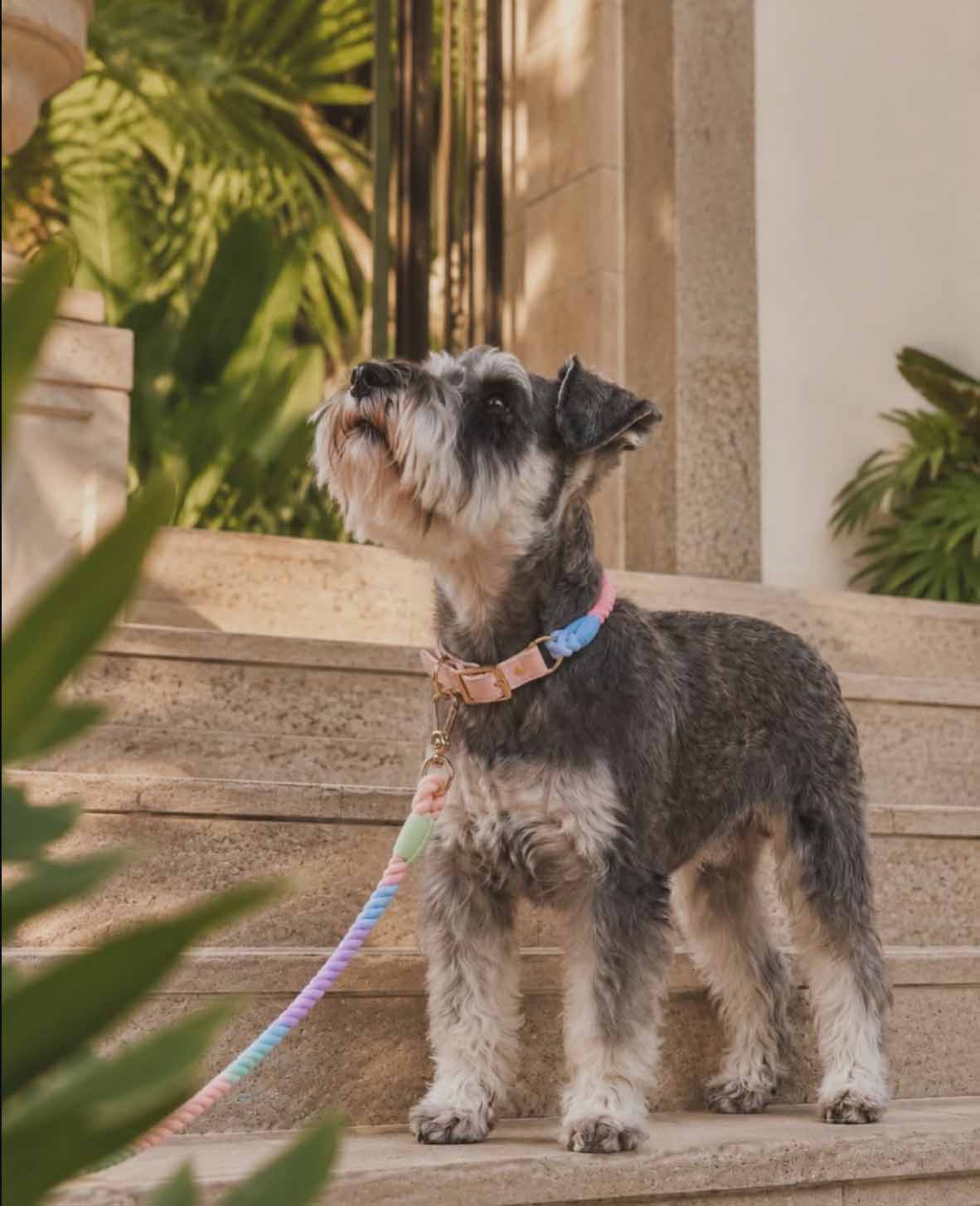 Cada passeio, uma experiência