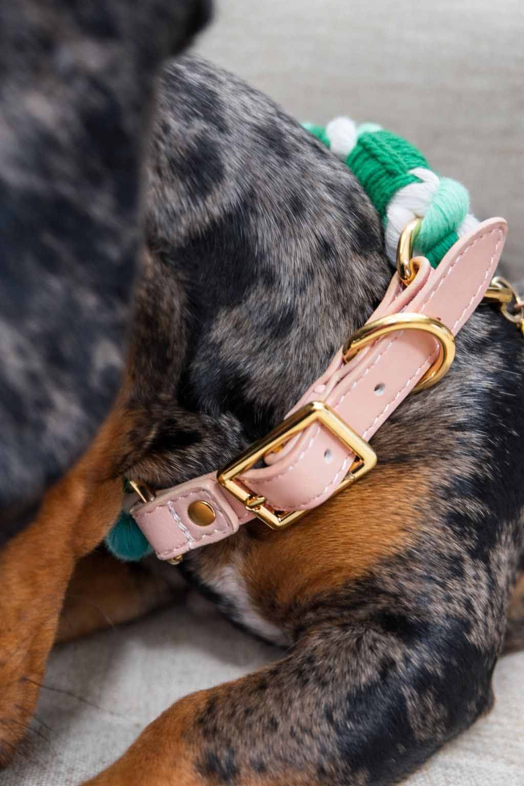 Coleira Lux Hortelã – Couro e Algodão (com TAG Grátis)