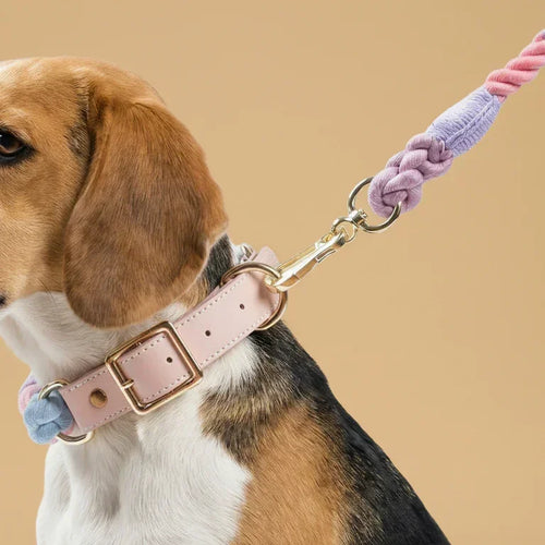 Coleira Lux Joy – Couro e Algodão (com TAG Grátis)