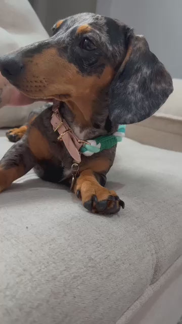 Video 4